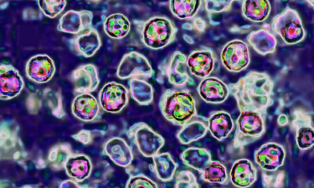 39-year-old unvaccinated woman becomes 6th measles death in Pennsylvania