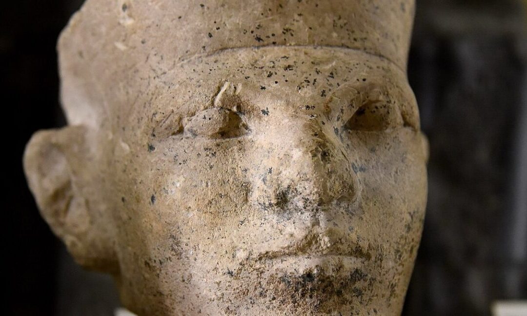 New forensic evidence supports Egyptian “retainer sacrifice”