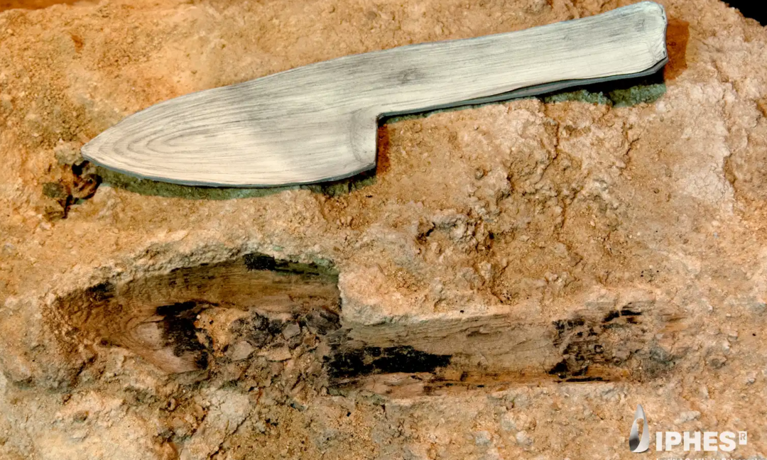 Neanderthal wooden tools from Spain found preserved in stone